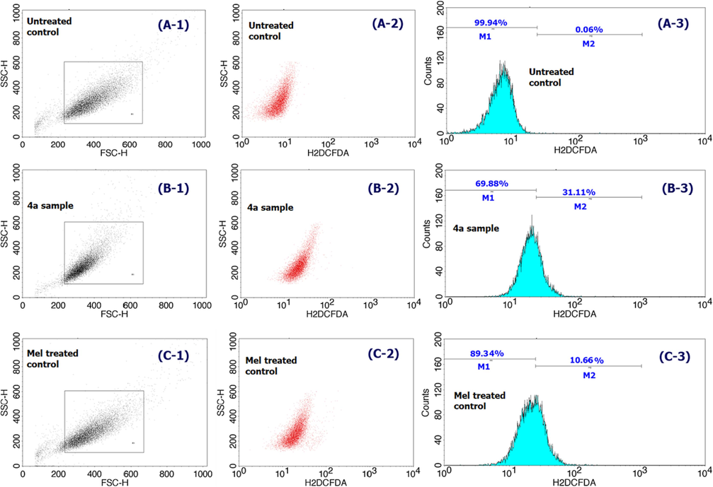 Flow cytometric analysis of ROS test results comparison of compound 4a (B series) treated HepG2 cancer cells with that of positive control Mel (15 µg/mL; C series) and non-treated cells (A series) over a 24 h period.