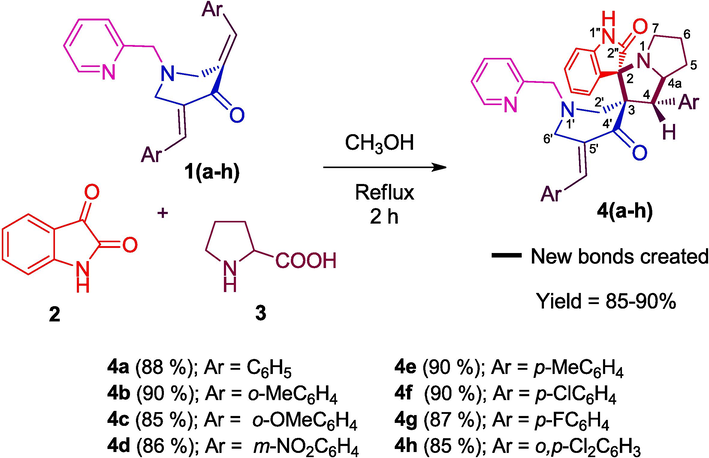 Schematic depiction of the formation of spirooxindole-pyrrolizidines 4(a–h).