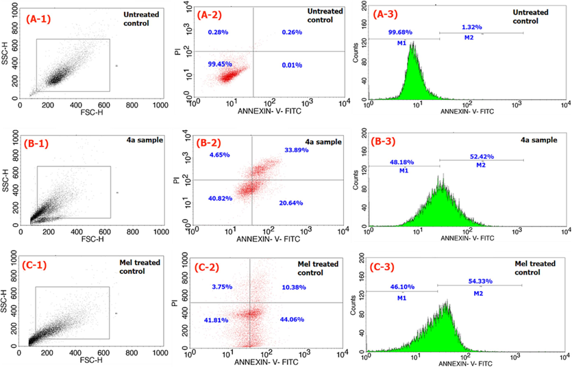 Flow cytometric analysis of apoptosis assay results comparison of compound 4a (B series) with that of no cell treatment (A series) and positive control of Mel (C series) for 24 h time frame.