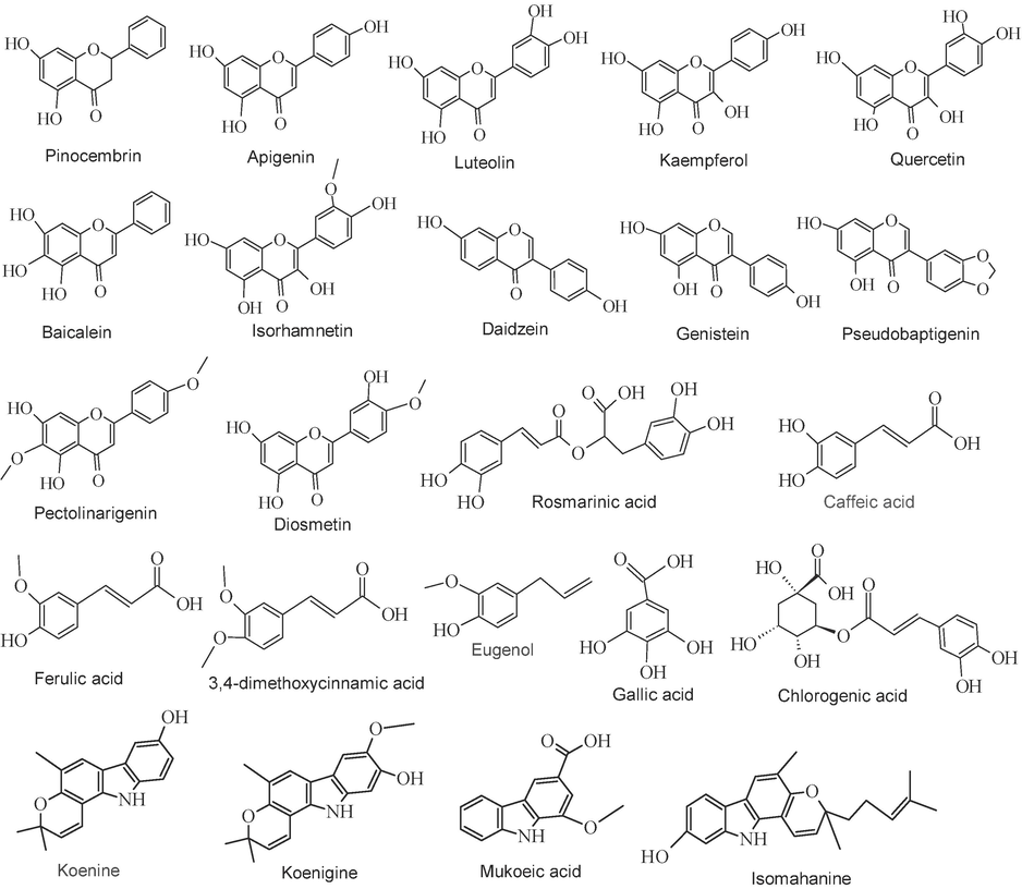 Structures of some important antioxidants reported in coriander leaves, bunching onion, curry leaves and holy basil leaves (Mahleyuddin et al., 2022; Choi et al., 2017; Rengasamy et al., 2020; Mousavi et al., 2018).