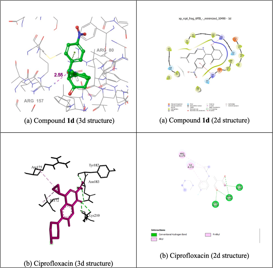 Molecular docking studies of 2d and 3d structure of compound 1d (a), and ciprofloxacin (b) with protein 6B1P.