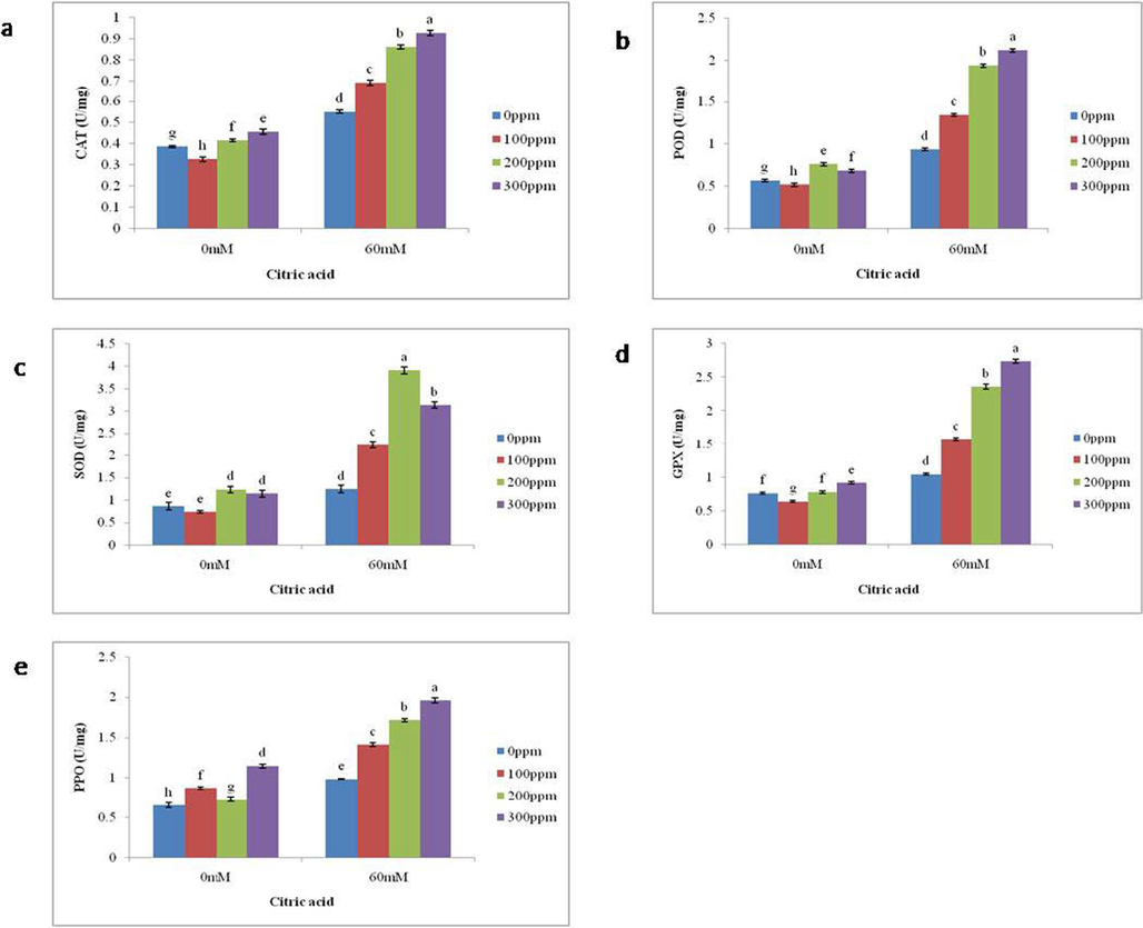 Impact of foliar application of differential CA concentrations on the (a) catalase, (b) peroxidase, (c) superoxide dismutase, (d) glutathione peroxidase, and (e) polyphenol oxidase activity of brinjal grown in salt stressed conditions. Letters on the bars signify different statistical means (p ≤ 0.05) (All enzymatic antioxidants are expressed as U/mg Protein).