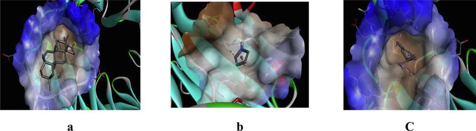 3D representation of best possible pose(s) of ligands- (a) friedelin, (b) imidazole, (c) sylvestrene within the active site of the target molecule (DPP-IV).