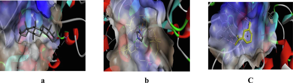 3D representation of best possible pose(s) of ligands- (a) friedelin, (b) imidazole, (c) sylvestrene within the active site of the target molecule (α-amylase).