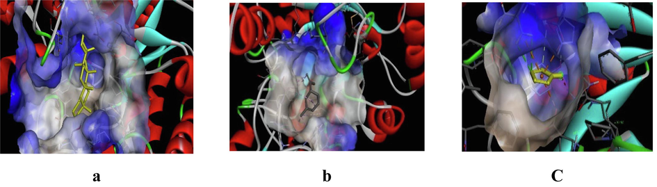 3D representation of best possible pose(s) of ligands- (a) friedelin, (b) imidazole, (c) sylvestrene within the active site of the target molecule (α-glucosidase).