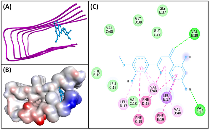 Molecular docking of Diosmetin with 2BEG. (A) 2D docking pose, (B) 3D docking pose, and (C) Molecular interaction between 2BEG and Diosmetin.