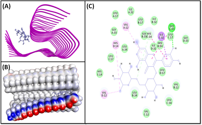 Molecular docking of Rutin with 2MXU. (A) 2D docking pose, (B) 3D docking pose, and (C) Molecular interaction between 2MXU and Rutin.