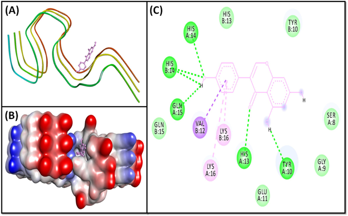 Molecular docking of Genistein with 2NAO. (A) 2D docking pose, (B) 3D docking pose, and (C) Molecular interaction between 2NAO and Genistein.