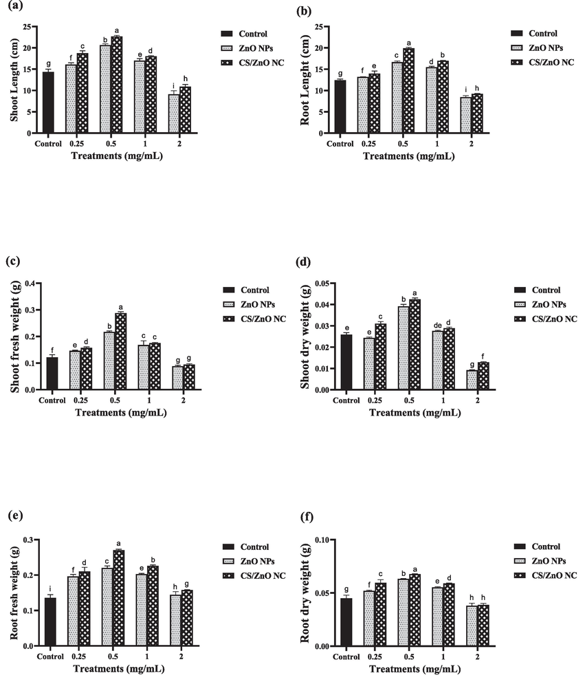 Comparative effect of distilled water treated with ZnO NPs, CS/ZnO NC, CS and ZnSO4 and non-treated water (control) (a) Shoot length (b) Root length (c) Shoot fresh weight (d) shoot dry weight (e) root fresh weight (f) root dry weight of wheat plants. Values are used in above graphs are means of triplicate and different letters represent the statistical significance (P ≤ 0.05) among the treatment means.