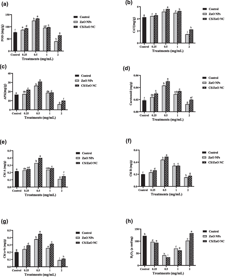 Comparative effect of water treated with catalyst and non-treated water on different physiological parameters of wheat plant such as (a) POD (b) CAT (c) APX (d) carotenoids (e) chlorophyll A (f) chlorophyll B (g) total chlorophyll of wheat plants and (h) H2O2..Values used in above graphs are means of triplicate and different letters represent the statistical significance (P ≤ 0.05) among the treatment means.