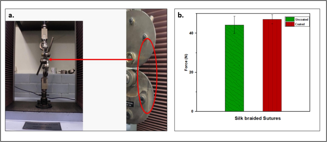 Tensile strength of Neem/chitosan coated suture.