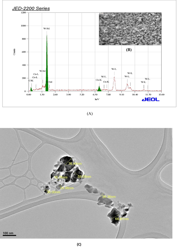 Characterization of WC-Co NPs (A) EDX spectrum and (B) image of WC-Co NPs by scanning electron microscope (C) Image of WC-Co NPs by transmission electron microscope (JEM 1011). (D) X-ray diffraction spectra of of WC-Co NPs.