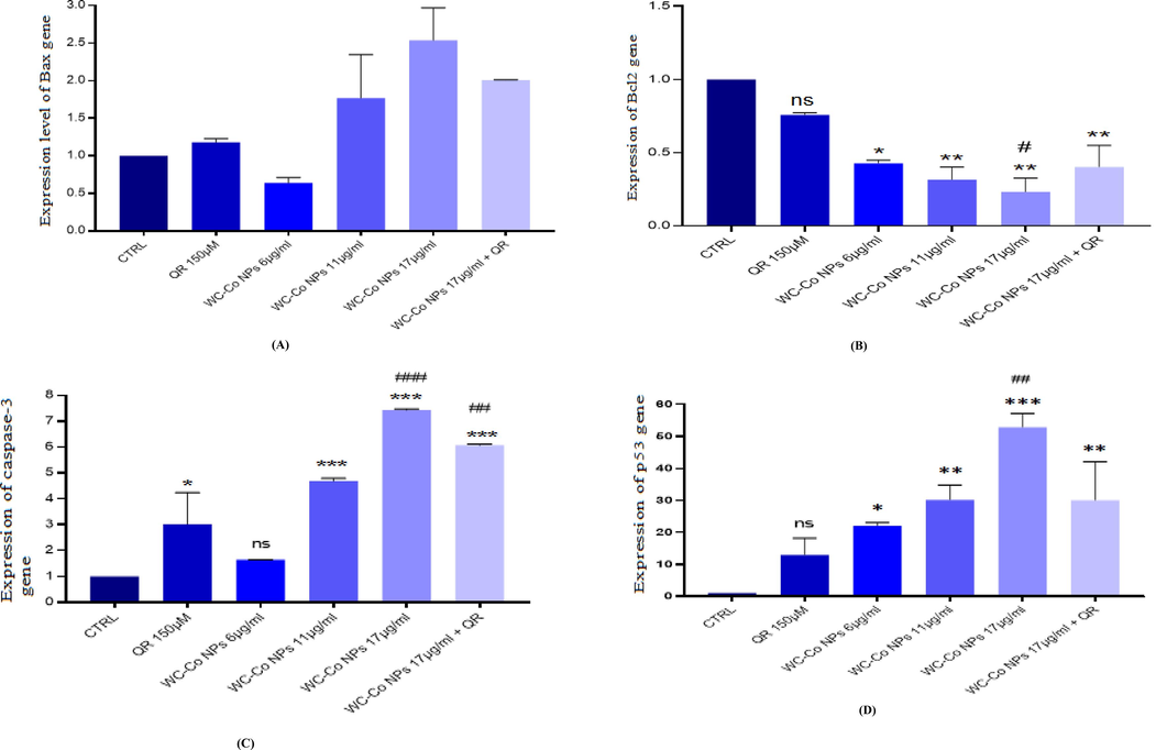 Gene expression levels in HUVECs cells after exposure to WC-Co NPs and QR and combined of both WC-Co NPs + QR for 24 hr. (A) Bax (B) Bcl2 (C) Caspase-3 (D) p53. n = 3, (*p < 0.05, **p < 0.01, ***p < 0.001) versus untreated control, (##p < 0.001) compared with quercetin.