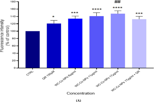 (A) Percentage change in intracellular ROS generation in the in HUVECs cells (B) Induction of ROS levels in HUVECs cells after exposure with WC-Co NPs and QR and combined of both WC-Co NPs + QR for 24 hr. Each value represents the mean ± SE of three experiments. n = 3, (*p < 0.05, **p < 0.01, ***p < 0.001, **** p < 0.0001) versus untreated control, ##p < 0.01 compared with quercetin(QR).