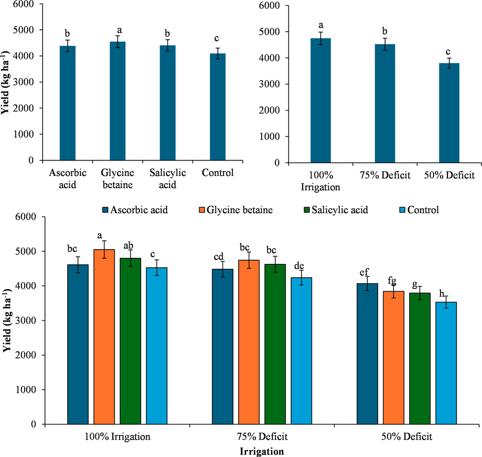 The effect of osmolytes application on cotton yield (kg ha−1) under different deficit irrigation treatments.