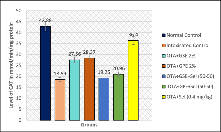 Effect of GSE, GPE and/or selenium addition on CAT enzyme in OTA-induced nephrotoxic rats.