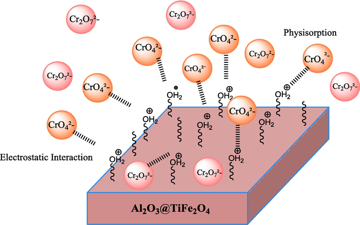 Schematic Representation of adsorption mechanism.