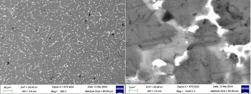 Tested alloy showing grain boundaries at X500 and X10,000.