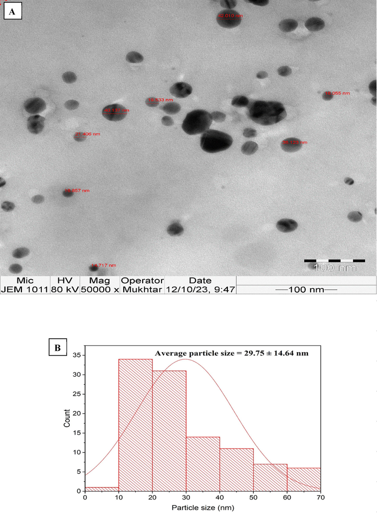 A) tem images of agnps, b). particle size distribution of agnps.