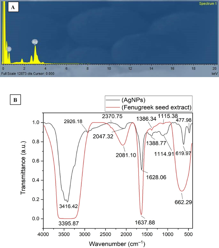 A) edx spectrum of agnps (x axis refereed to the energy level (kev) whereas y axis refer to the counts), b) FTIR spectrum of Fenugreek seeds extract and AgNPs.