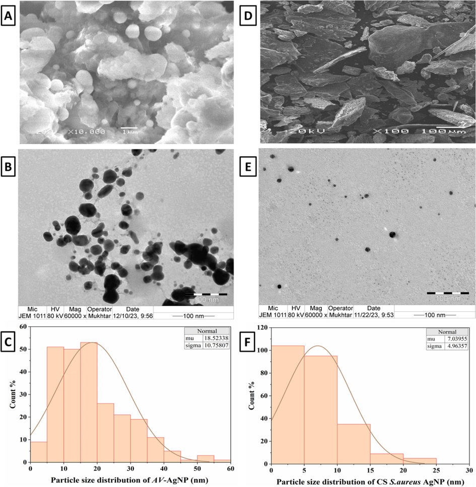 SEM and TEM images of synthesised AvAgNPs (A and B) and CS of S. aureus-AgNPs (D and E), histograms of the particle size distribution (C and F).