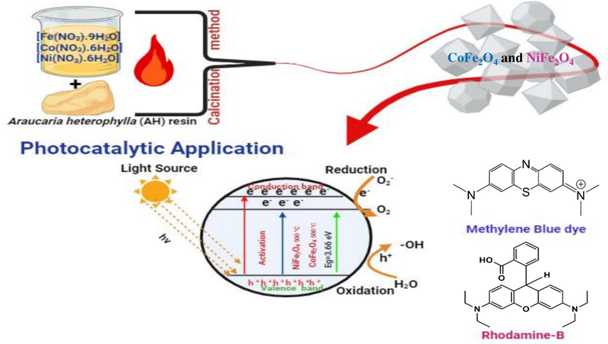 Green synthesis of CoFe2O4 and NiFe2O4 Nanoparticles.