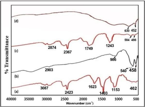 FT-IR spectra of CoFe2O4 and NiFe2O4 precursors and NPs.