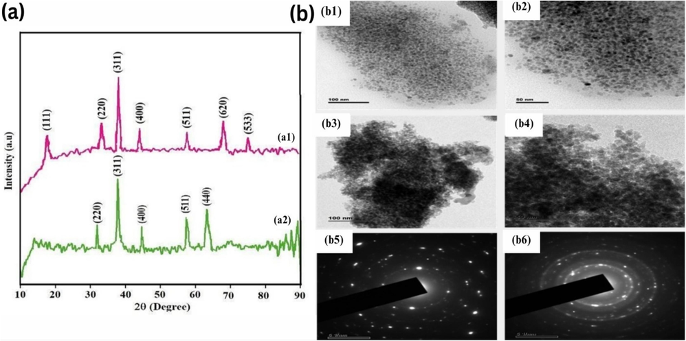 XRD patterns (a1, a2) and TEM images of CoFe2O4, NiFe2O4 (b1-6).