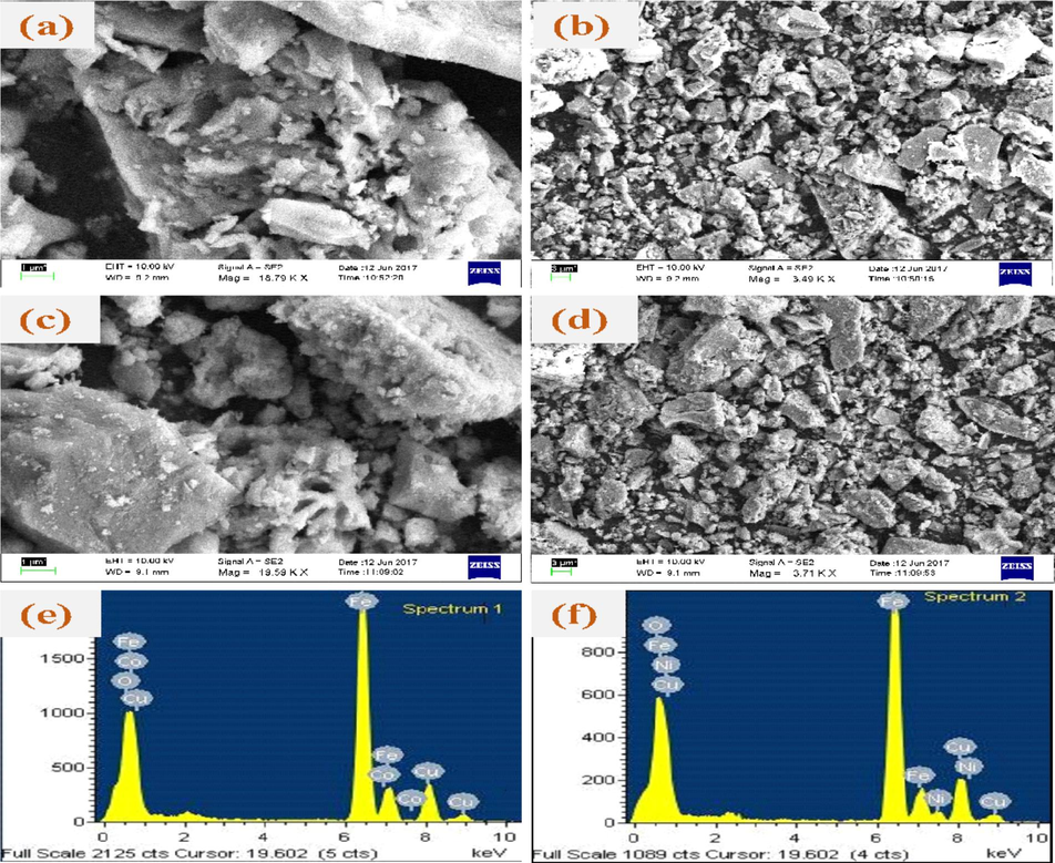 SEM images (a-d) and EDAX spectra of (e) CoFe2O4 and (f) NiFe2O4.