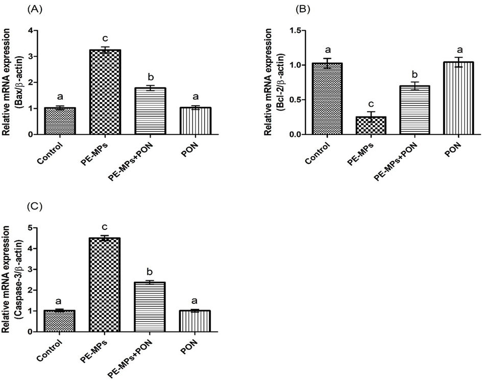 Protective role of PON on (a) Bax, (b) Bcl-2 and (c) Caspase-3 expression. Values are depicted as mean ± standard error of mean. Significant variation is depicted by different superscripts each bar.