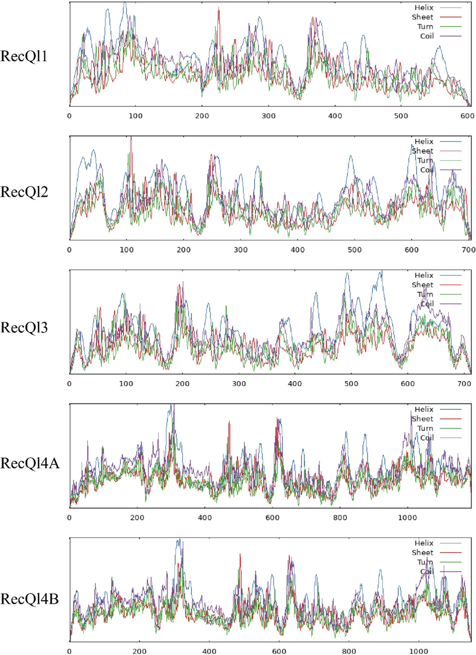 The secondary structure of retrieved AtRecQl amino acid sequences by SOPMA server. The blue, red, green and purple color represents the helix, sheet, turn and coil structure of the proteins.