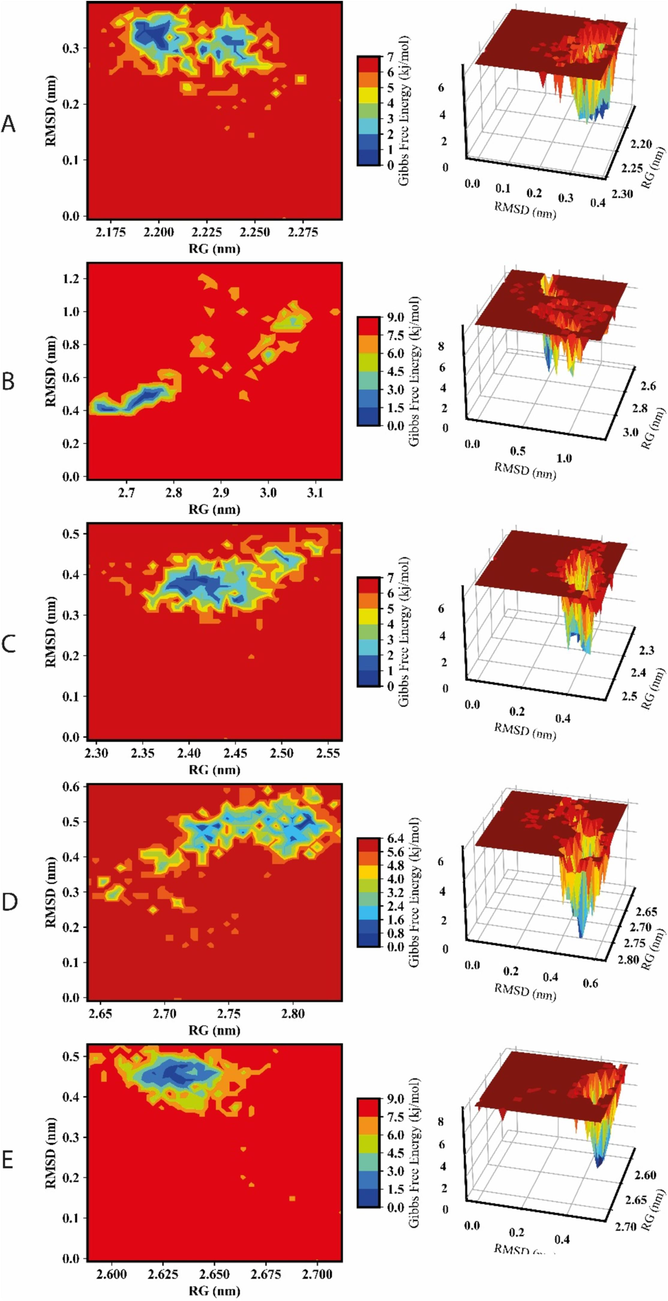 3D and 2D FEL depictions of RecQ, alongside RMSD and RG structural parameters. A, B, C, D and E represent the RecQl1, RecQl2, RecQl3, RecQl4A and RecQl4B, respectively. The left panel shows the two dimensional and the right panel illustrates their corresponding three-dimensional energy surface.