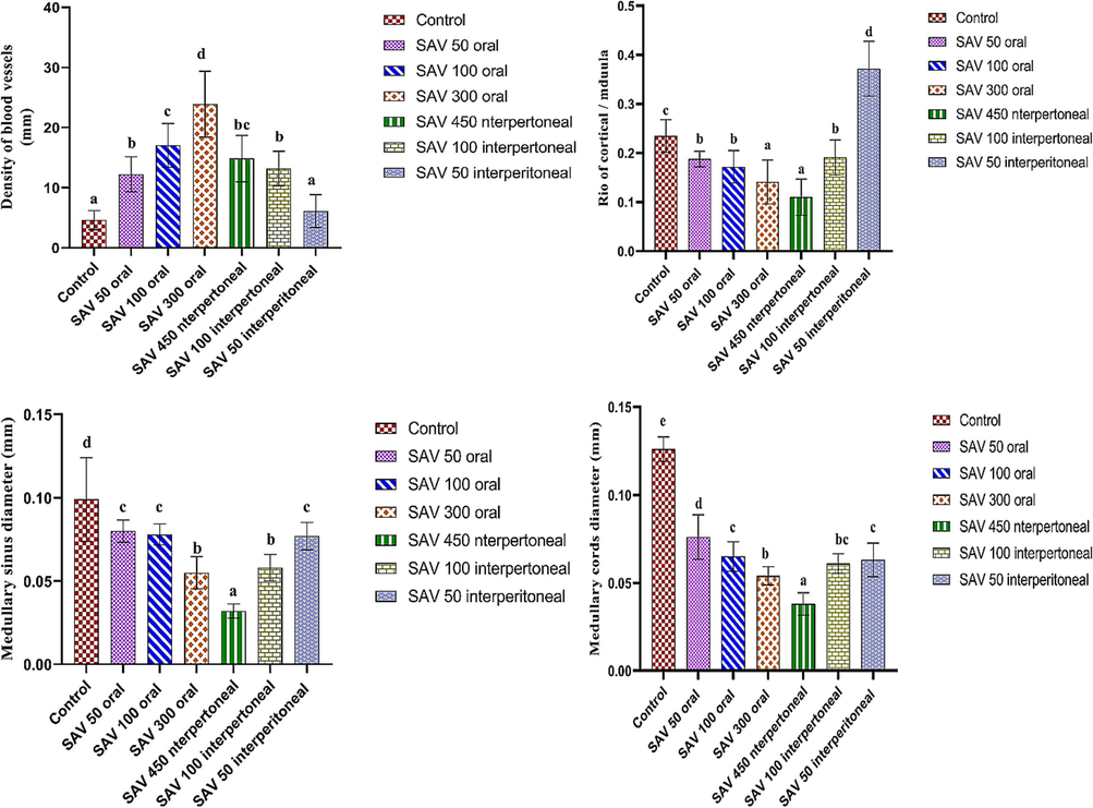 They used bar charts to show changes in six groups: the control group; an oral dose of (50 µg/BW); an oral dose of (100 µg/BW); an oral dose of (300 µg/BW); an IP dose of (50 µg/BW); an IP dose of (100 µg/BW); and an IP dose of (450 µg/BW). The changes in these factors were TEC density, TEC density, macrophage density, reticular cell density, and dendritic cell density. Values are represented as mean ± SEM and n = 10 animals.