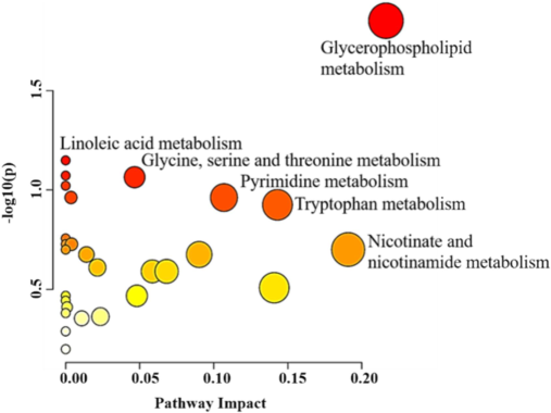 Pathway assessment for important metabolites (n = 102) dysregulated in mice model of TBI. The plot of pathways analysis demonstrates primary metabolic pathway involved in the differences derived on 102 significantly dysregulated metabolites.