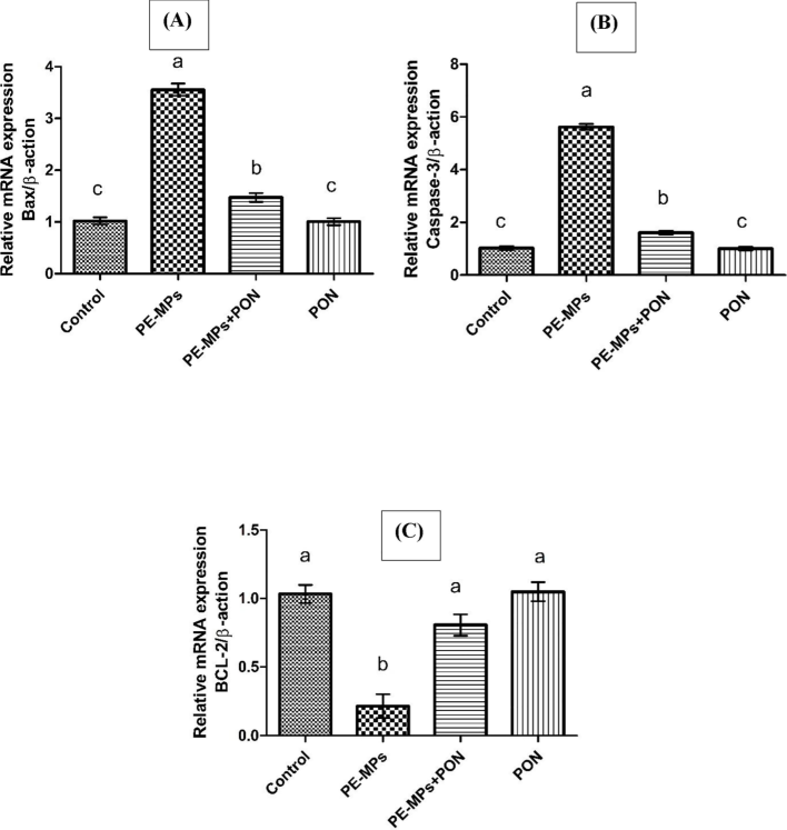 This figure visualizes the bar graph of different genes and their comparative analysis with other groups. (A) BAX (B) CASPASE-3 (C) BCL-2. Dissimilar superscripts show significant difference among different groups (p < 0.05).