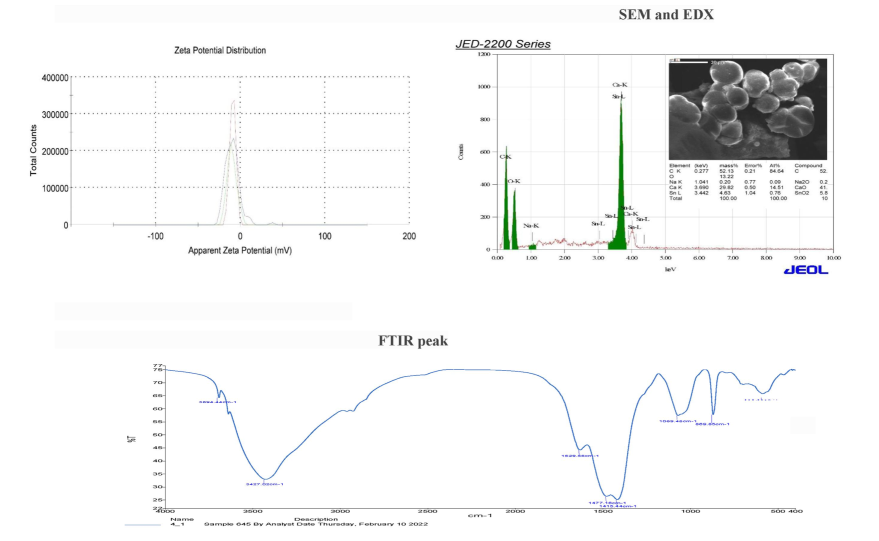 Shows the AACaN Zeta potential, SEM and EDX as well as FTIR peak.