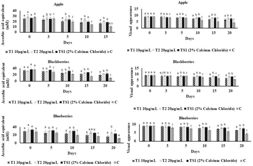 DPPH and visual appearance of AACaN and 2 % calcium chloride treated as well as control of fresh-cut apple, blackberries and blue berries. T1: 10 µg/mL of AACaN samples, T2:20 µg/mL of AACaN samples, TS1: 2 % calcium chloride samples, C: Untreated Control samples.