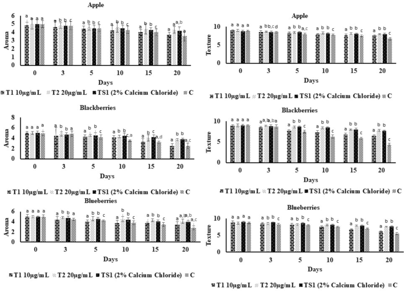 Aroma, texture and decay of AACaN and 2 % calcium chloride treated as well as control of fresh-cut apple, blackberries and blue berries. T1: 10 µg/mL of AACaN samples, T2:20 µg/mL of AACaN samples, TS1: 2 % calcium chloride samples, C: Untreated Control samples.