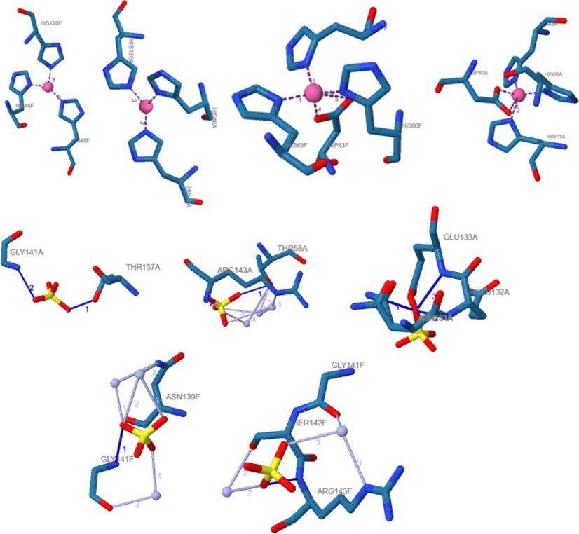 Interaction of SOD with Kaempferol and Rutin.