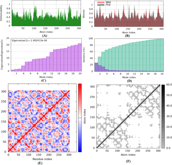 A represents the model detail of Eigenvalues, B Variance, C Covariance Map and D shows Elastic Network.