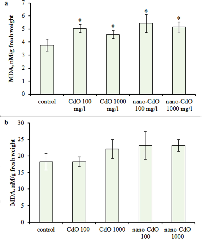 MDA concentration in the (a) root and (b) shoot in one-week-old barley seedlings under CdO and nano-CdO treatment at 100 mg/L and 1000 mg/L. Asterix indicates statistically significant differences from the control at p < 0.05.