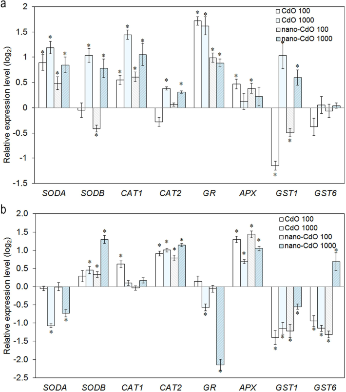 Expression analysis of oxidative stress related genes in the (a) root and (b) shoot in barley. The genes examined included superoxide dismutase (SODA and SODB), catalase (CAT1 and CAT2), glutathione reductase (GR), ascorbate peroxidase (APX), and glutathione S-transferase (GST1 and GST6). Transcript levels are expressed relative to the control and are presented on a logarithmic (log2) scale. Asterix indicates statistically significant differences from the control at p < 0.05.