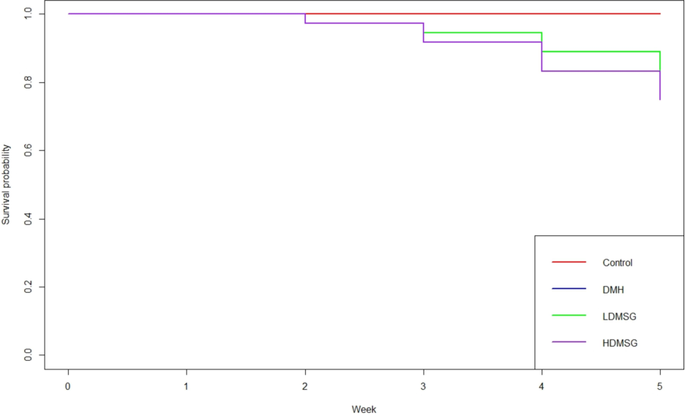 Effects of MSG on Survival Rate: Survival analysis of experimental rat groups using Kaplan-Meier (KM) plots along with a Log-rank test. The x-axis represents time in weeks, and the y-axis indicates survival probability (p-value). The number of animals alive at the end of the experiment is as follows: Control (n = 6), DMH (n = 4), LDMSG (n = 4), and HDMSG (n = 3).