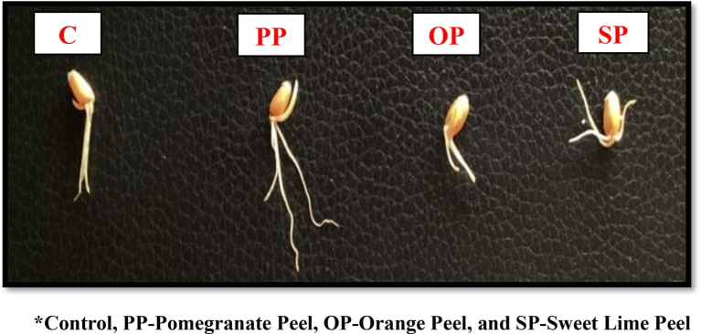 Effect of Selected Fruit Peels on Wheat Grain Germination.