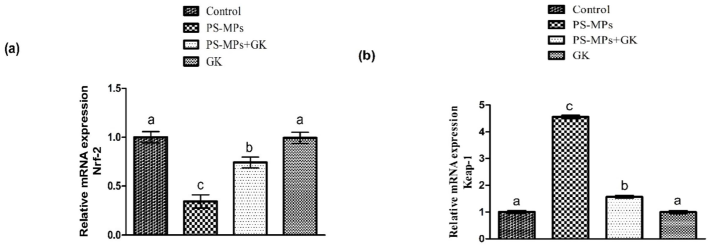 Protective role of GK on (a) Nrf-2, (b) Keap-1 expression. Bars are shown on the basis of mean ± standard error of mean. Different superscripts on bars presenting significant variation.