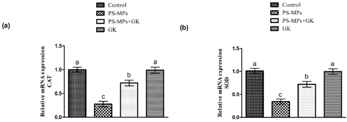 Protective role of GK on (a) CAT, (b) SOD, (c) GPx, (d) GSR, (e) GST along with (f) HO-1 expression. Bars are based on mean ± standard error of mean. Different superscripts on bars presenting significant variation.