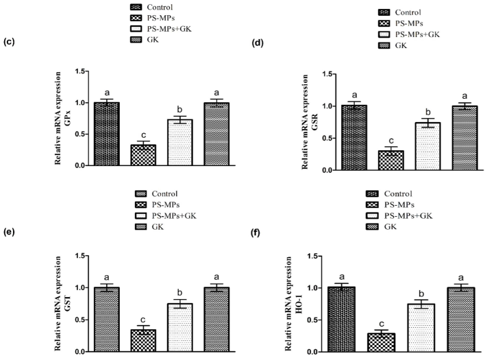 Protective role of GK on (a) CAT, (b) SOD, (c) GPx, (d) GSR, (e) GST along with (f) HO-1 expression. Bars are based on mean ± standard error of mean. Different superscripts on bars presenting significant variation.