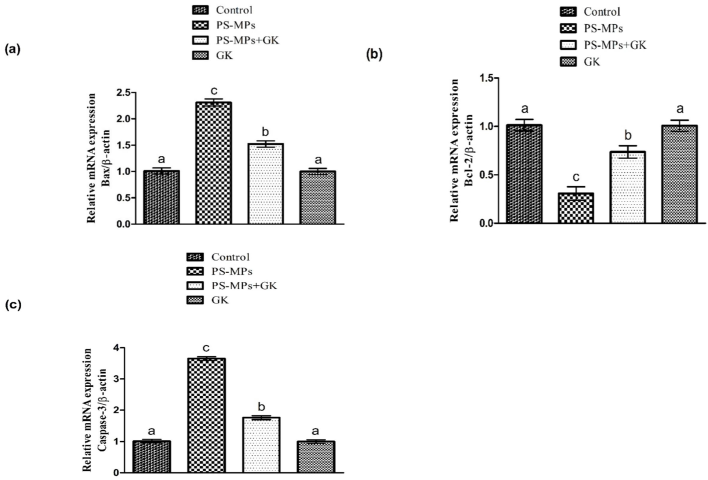 Protective role of GK on (a) Bax, (b) Bcl-2 as well as (c) Caspase-3 expression. Bars are based on mean ± standard error of mean. Different superscripts on bars displaying significant difference.