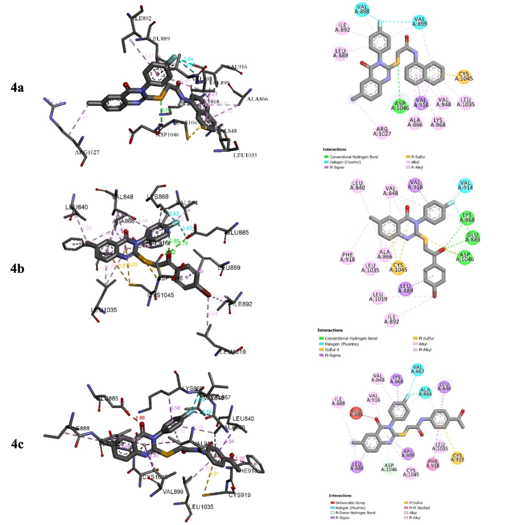 Interactions between compounds 4a–c and VEGFR-2.