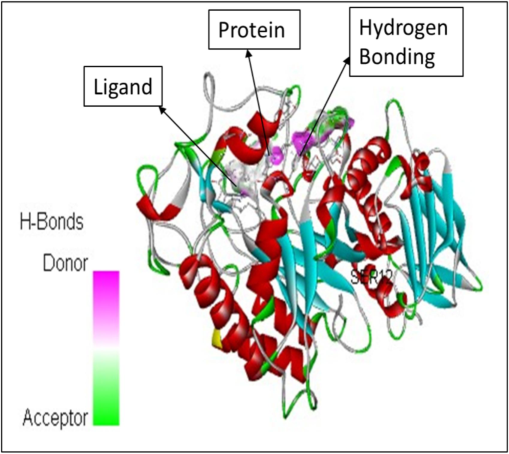 The molecular docking between the ligand Hexadecanoic acid, methyl ester and the protein namely 1HNY.